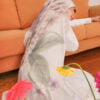 GEISHA PRINTED SHAWL (LIGHT PURPLE)